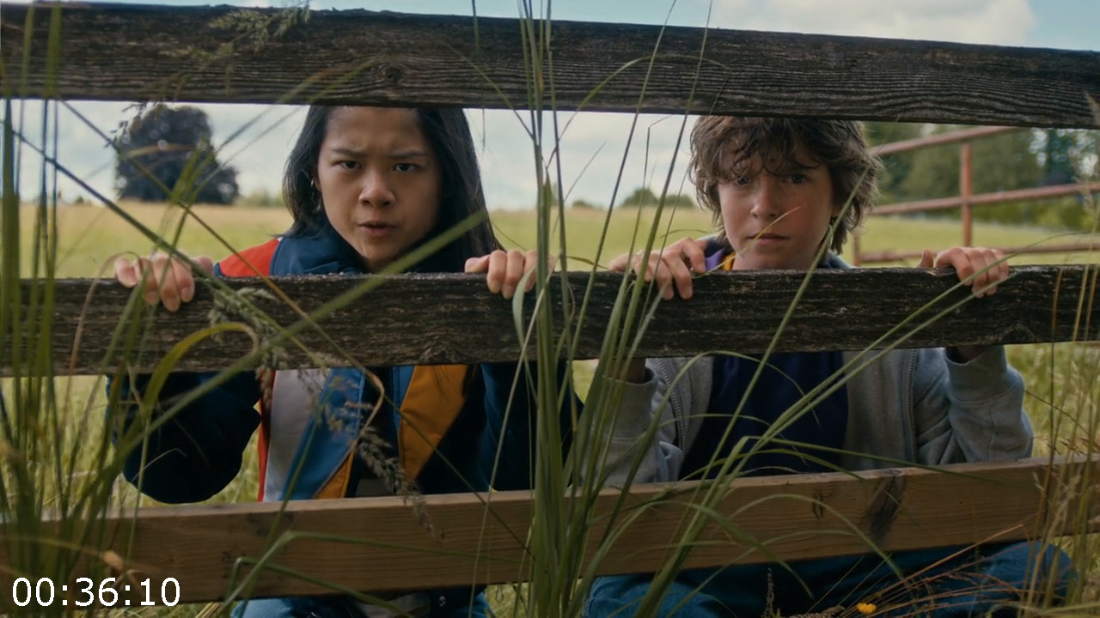 [Kép: ME19SH6D_o.png]