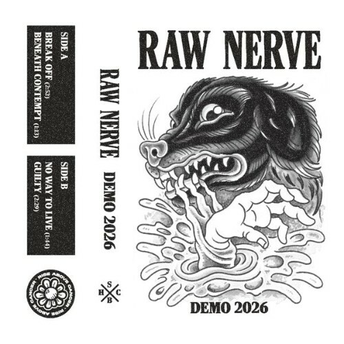  Raw Nerve - Demo 2026 (2026) 