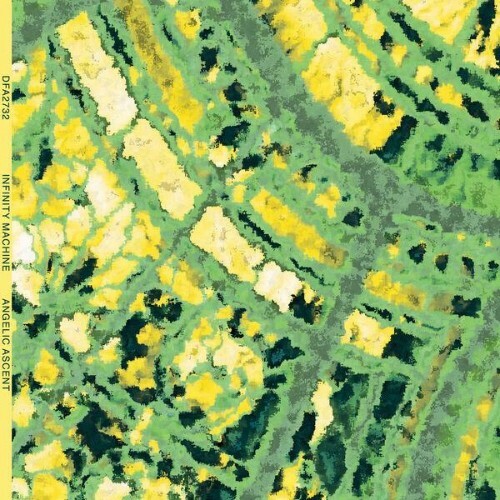  Infinity Machine feat. The Juan Maclean & Gee Dee - Angelic Ascent (2025) 