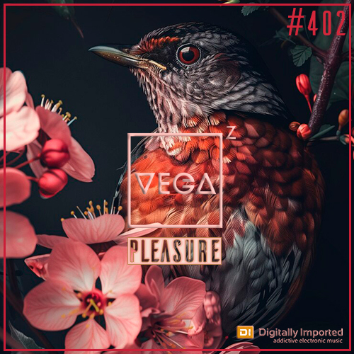  Vega Z - Pleasure 402 (2024-10-23) 