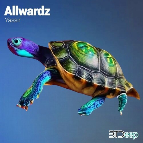  Allwardz - Yassir (2024) 