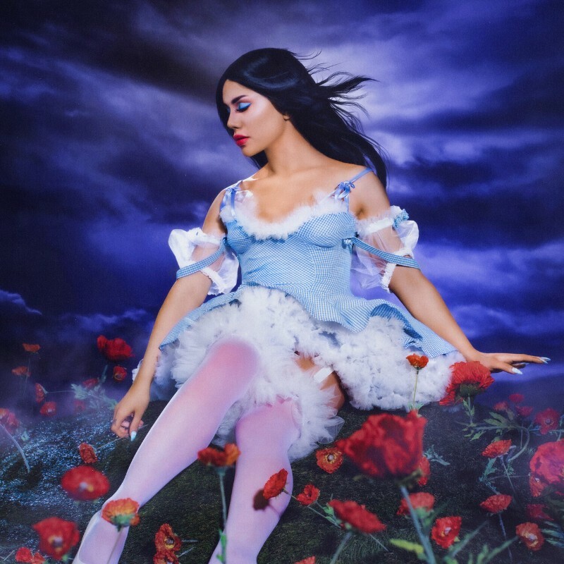 [Image: ME18ZJQA_o.jpg]