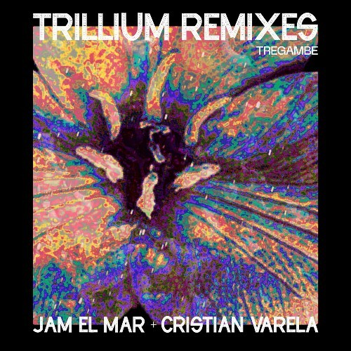  Audioklinik - Trillium (Remixes) (2024) 