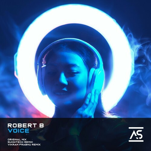  Robert B - Voice (2025) 