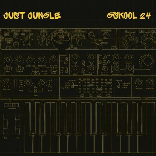  Just Jungle - G Skool Vol 24 (2024) 