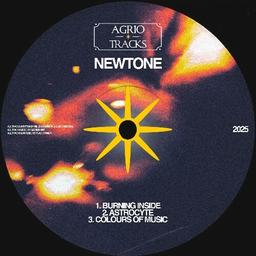  Newtone - Burning Inside (2025) 