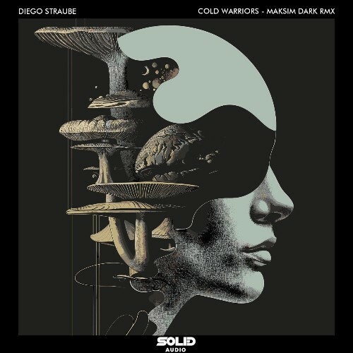  Diego Straube - Cold Warriors (2024) 