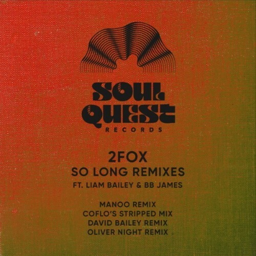 2fox Ft BB James Liam Bailey - So Long Remixes (2024)