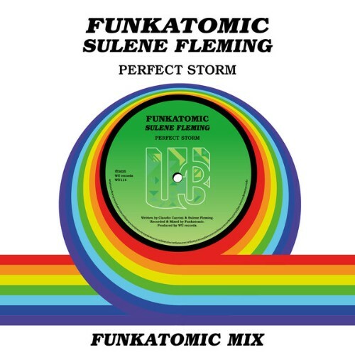  Funkatomic x Sulene Fleming - Perfect Storm (Funkatomic Mix) (2025) 