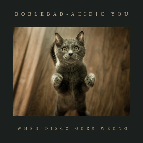  Boblebad - Acidic You (2024) 