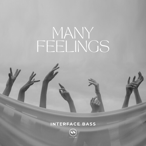  Interface Bass - Many Feelings (2024) 