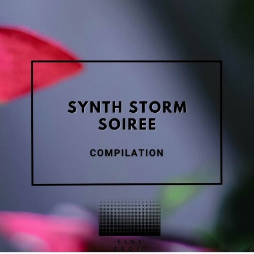 Synth Storm Soiree (2024)