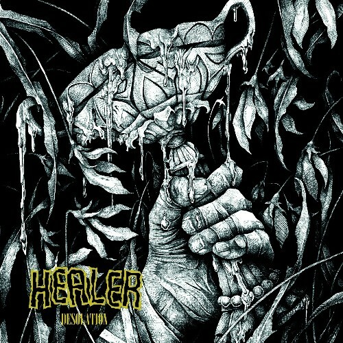 Healer — Desolation (2026)
