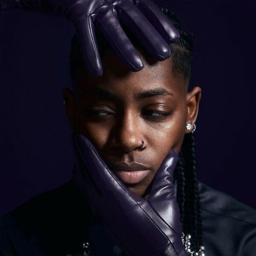  TheARTI$t - DND (2026) 