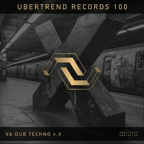  V.A. Dub Techno v.X (2024) 