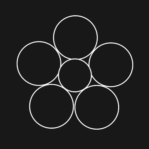  BeeZhan - Blossom-02 (2026) 