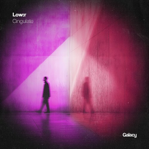  Low:r, Sixar - Cingulate (2026) 