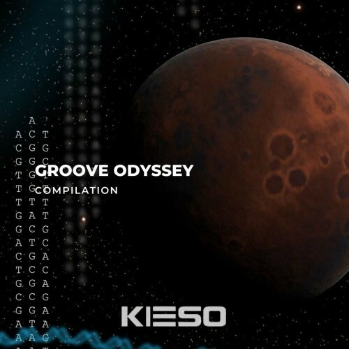  Inflaxex - Groove Odyssey (2024) 