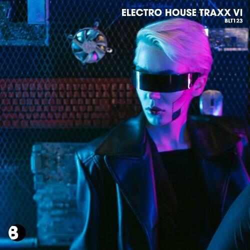 Electro House Traxx VI (2024)