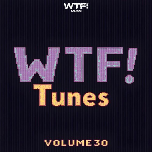  Wtf! Tunes, Vol. 30 (2024) 