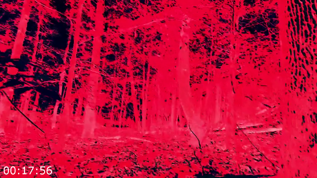 [Kép: ME1CN8BQ_o.png]