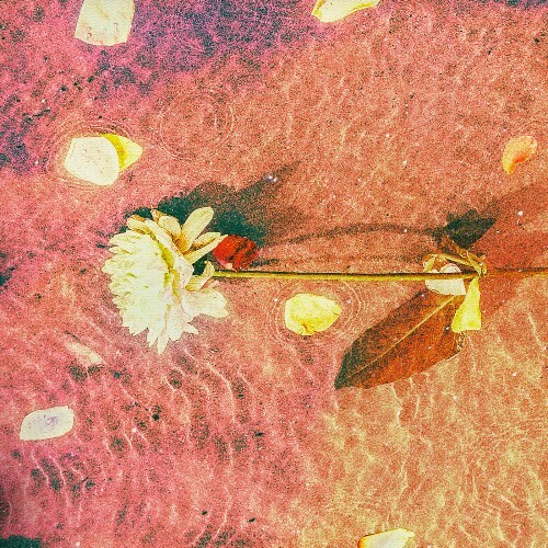 Aname - Malibu (2025) Aname - Malibu (2025)