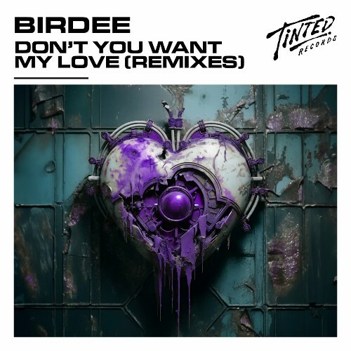 VA -  Birdee - Don't You Want My Love (Remixes) (2024) [MP3] MEW7WQU_o