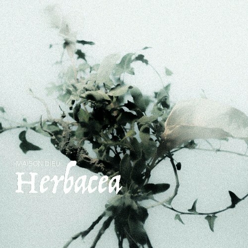  Maison Dieu - Herbacea (2025) 