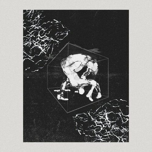  Settle Down - Breathing Space (2025) 