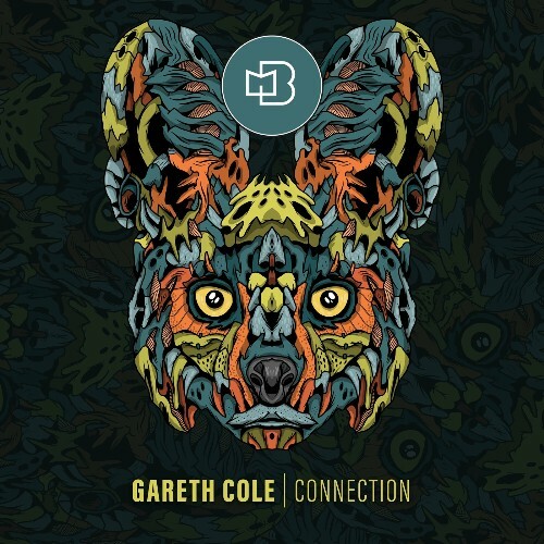  Gareth Cole - Connection (2024) 