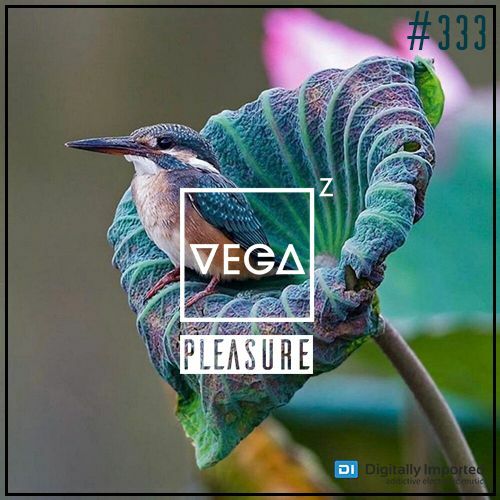  Vega Z - Pleasure 333 (2023-06-28) 