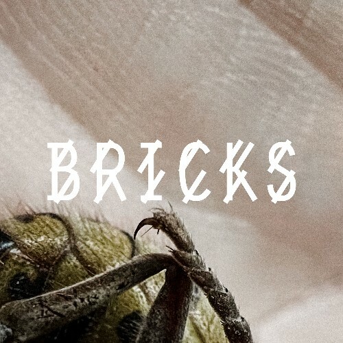 VA - Somewhen & Bibi Bourelly - Bricks (2024) (MP3) MEUGAU6_o