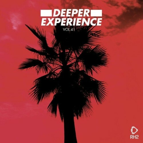  Deeper Experience, Vol. 41 (2023) 