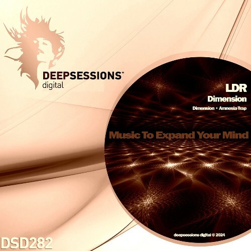 VA -  LDR - Dimension (2024) [MP3] MEWLDXZ_o