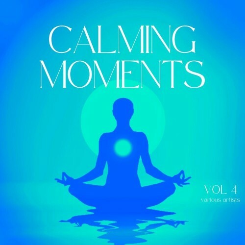  Calming Moments, Vol. 4 (2024) 