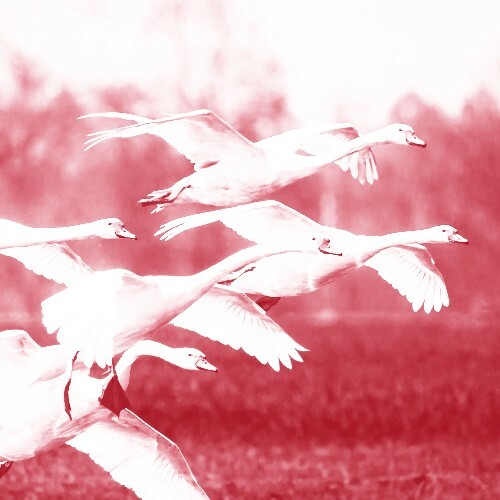  Mioche - Kummer - Remixes (2025) 