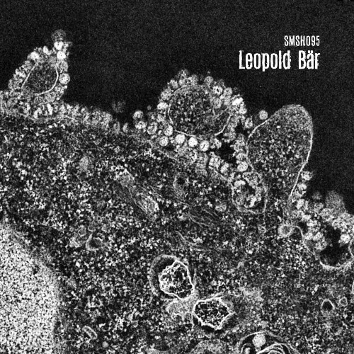  Leopold B&#228;r - Moving World (2024) 