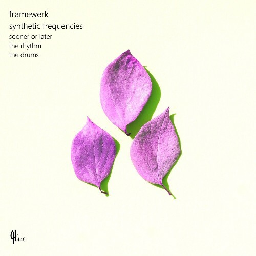  Framewerk - Synthetic Frequencies (2024) 