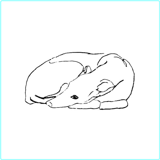 [Image: ME17UQGZ_o.png]