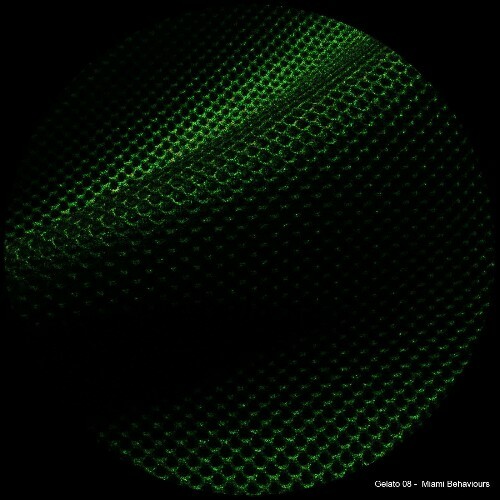  Gelato 08 - Miami Behaviours (2025) 
