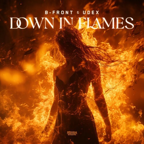 VA - B-Front & Udex - Down In Flames (2024) (MP3) MEUWA0E_o