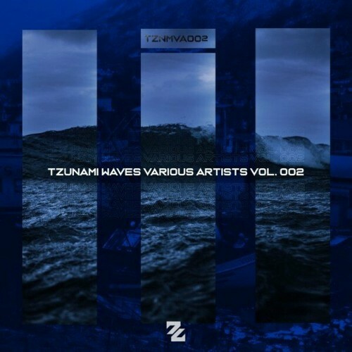 Tzunami Waves Various Artists, Vol. 2 (2024)