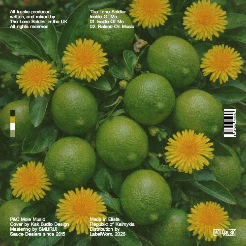  The Lone Soldier - Inside Of Me (2026) 