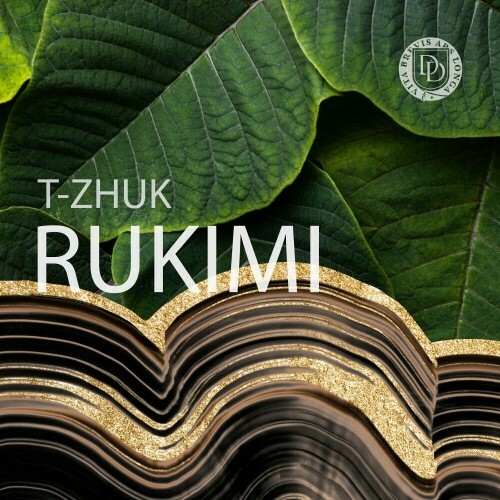 VA - t-Zhuk - Rukimi (2024) (MP3) METKD7M_o