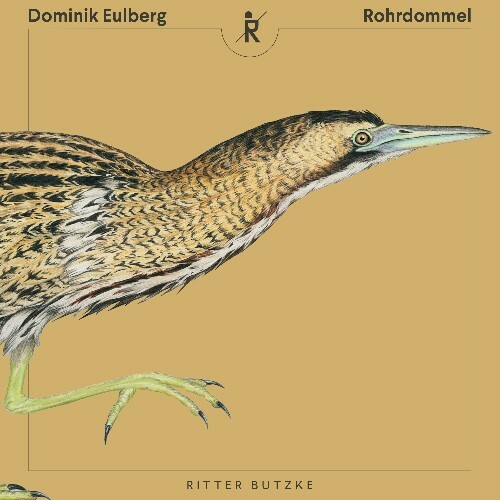 Dominik Eulberg - Rohrdommel (2025) Dominik Eulberg - Rohrdommel (2025)