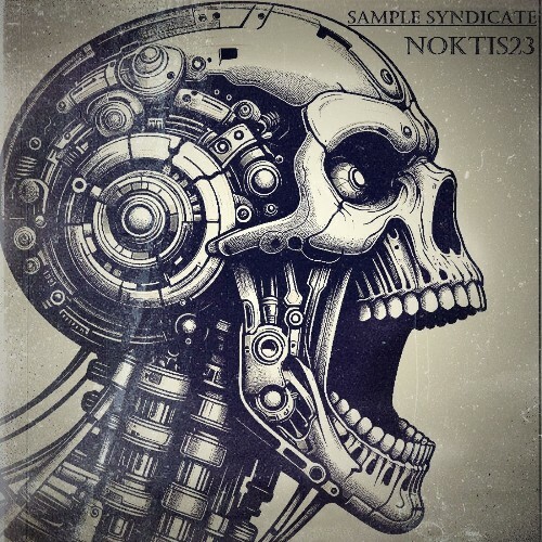  Noktis23 - Sample Syndicate (2025) 