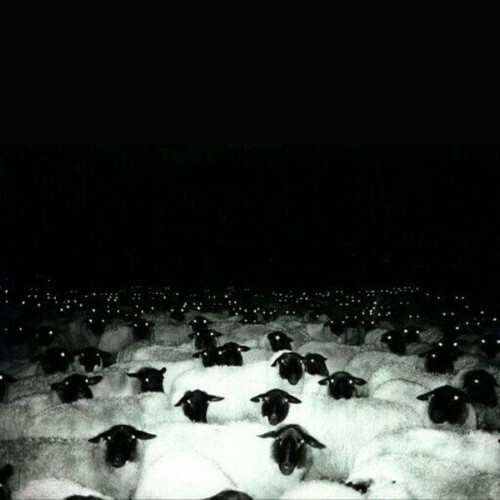  Rikošett - MUST LAMMAS. (2025) 