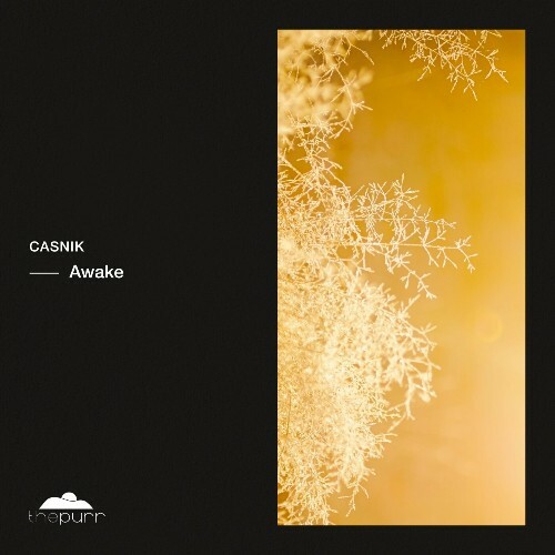  Casnik - Awake (2024) 