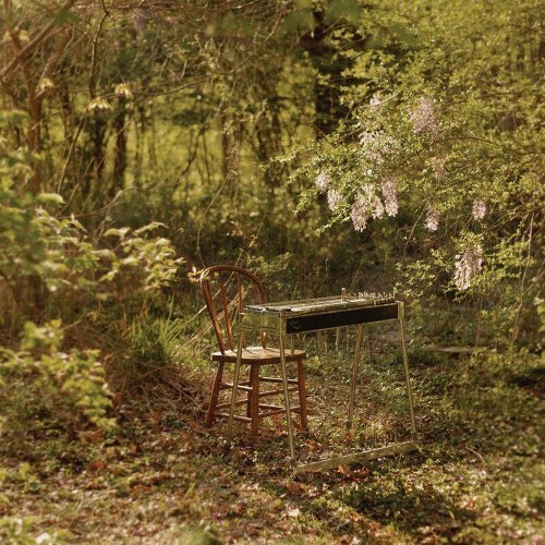  Luke Schneider - For Dancing In Quiet Light (2025) 