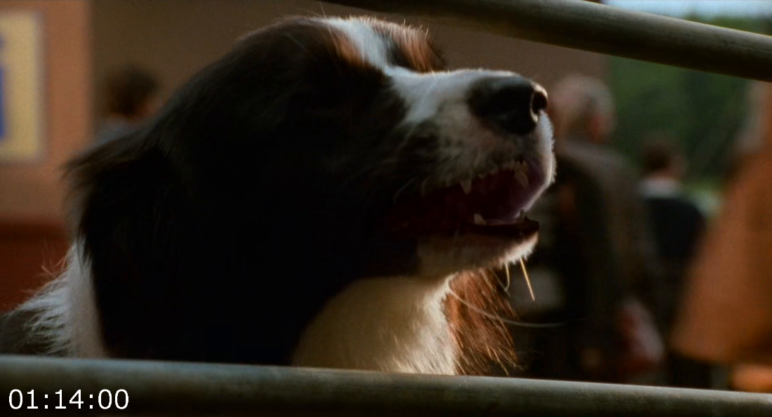 [Kép: ME19IMGN_o.png]